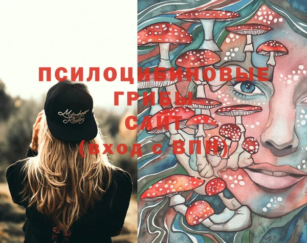 spice Балахна